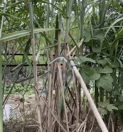 Multifunctional Portable Grass Sickle Cutter Head Tool | Flat 50% OFF | ₹599 Only | Free Delivery & COD